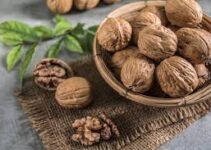 Kacang Kenari: Awalnya Nggak Suka, Sekarang Malah Ketagihan Kacang Kenari: Awalnya Nggak Suka, Sekarang Malah Ketagihan