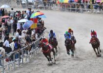 5 Manfaat Tak Terduga dari Ikut Pacuan Kuda yang Harus Kamu Tahu Di 2025 5 Manfaat Tak Terduga dari Ikut Pacuan Kuda yang Harus Kamu Tahu Di 2025