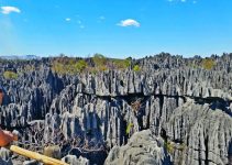 Stone Forest: Keajaiban Alam yang Bikin Aku Terpesona Sampai Sekarang Stone Forest: Keajaiban Alam yang Bikin Aku Terpesona Sampai Sekarang