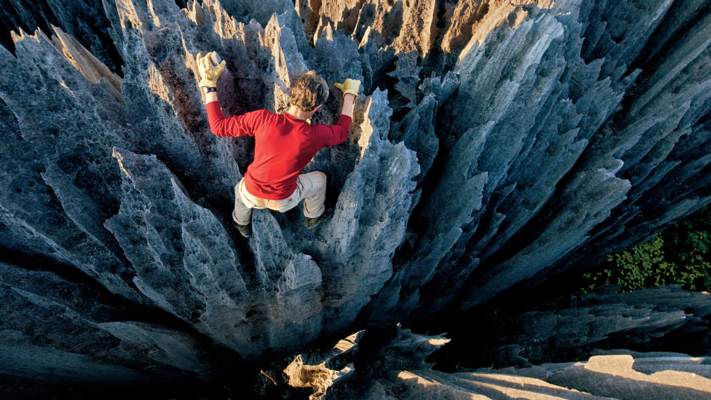 Stone Forest