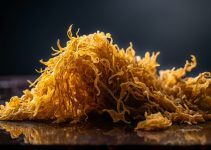 Manfaat Sea Moss: Superfood Alami yang Perlu Diketahui Manfaat Sea Moss: Superfood Alami yang Perlu Diketahui