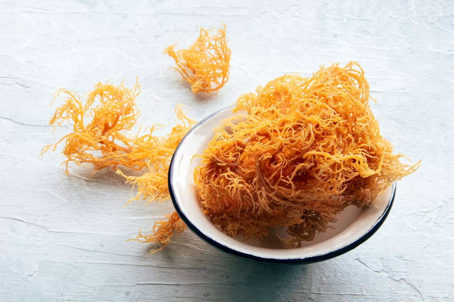 Manfaat Sea Moss