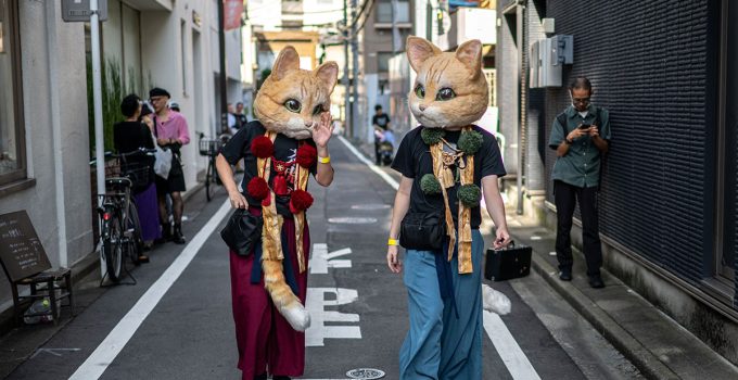 Festival Kucing di Jepang Pesona yang Membuat Hati Melekat pada Si Manis Berkumis