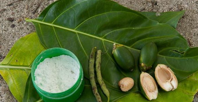 Tradisi Berkapur Sirih: Warisan Budaya Nusantara yang Penuh Makna