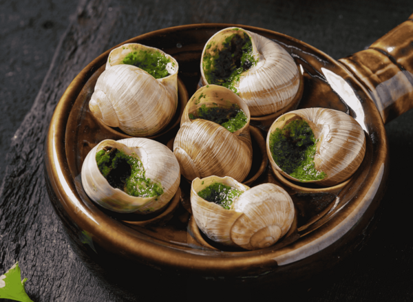 Escargot de Bourgogne