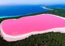 Danau Hillier: Misteri Danau Merah Muda yang Menghipnotis Dunia