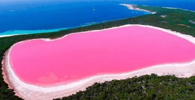 Danau Hillier: Misteri Danau Merah Muda yang Menghipnotis Dunia