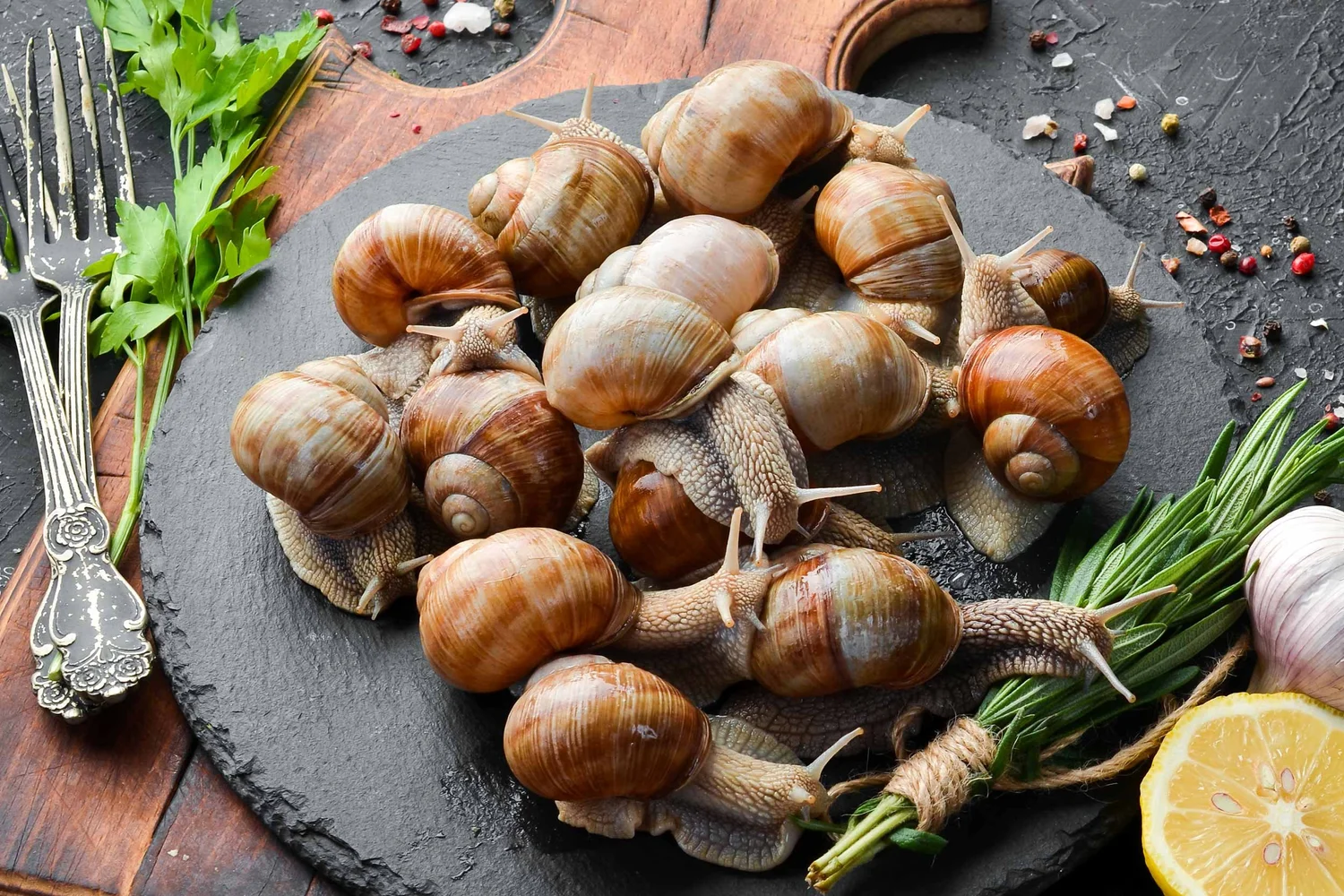 Escargot de Bourgogne: 5 Panduan Lengkap Menikmatinya