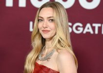 Amanda Seyfried : Kehidupan Pribadi di Balik Sorotan Hollywood 2026r