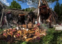 Pesta Bakar Batu: Tradisi yang Menghangatkan Jiwa dan Persaudaraan