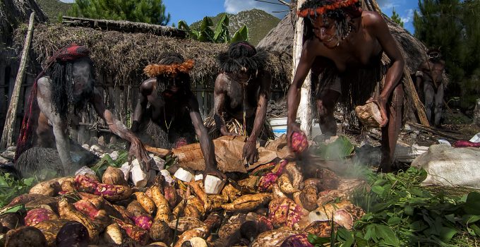 Pesta Bakar Batu: Tradisi yang Menghangatkan Jiwa dan Persaudaraan