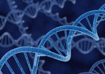 Mengenal Sekuensing Genomik: Menyelami Bahasa Rahasia Kehidupan yang Mengubah Masa Depan