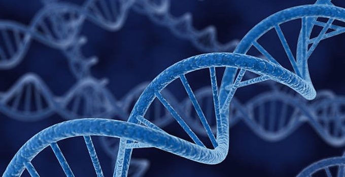 Mengenal Sekuensing Genomik: Menyelami Bahasa Rahasia Kehidupan yang Mengubah Masa Depan