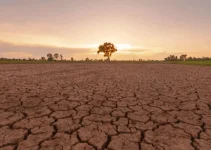 Godzilla El Nino 2026: Ketika Alam dan Fenomena Mengguncang Dunia