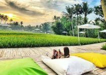 Svargabumi Borobudur, Pesona Wisata Alam yang Menghadirkan Keindahan Magis di Tengah Sawah Hijau