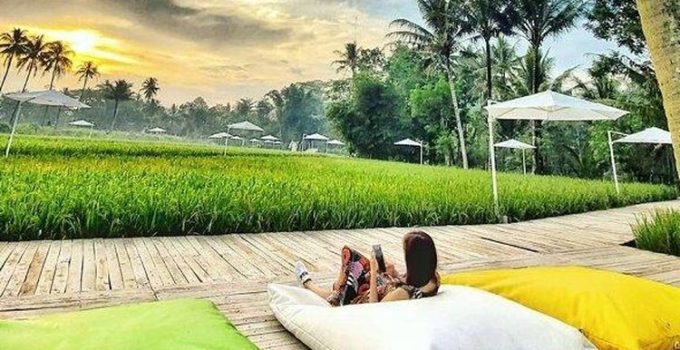 Svargabumi Borobudur, Pesona Wisata Alam yang Menghadirkan Keindahan Magis di Tengah Sawah Hijau