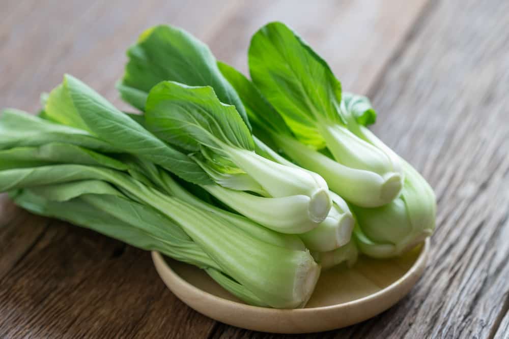 Kandungan Nutrisi Sayur Sawi yang Sering Diremehkan