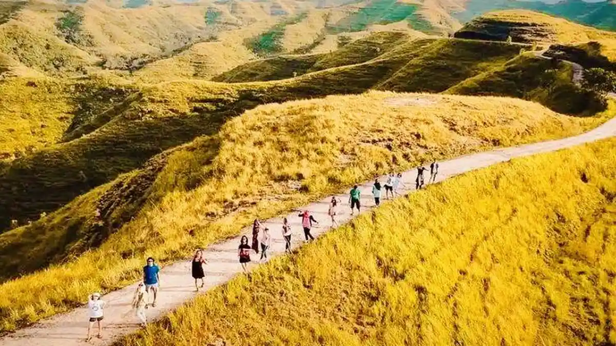 Mengenal Savanna Tanarara yang Memikat Wisatawan