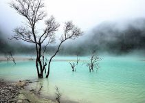Tur Kawah Putih Bandung: Panduan Wisata Lengkap untuk Pemula