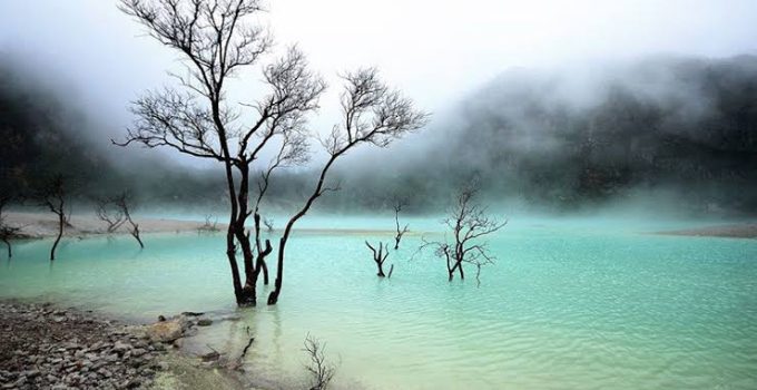 Tur Kawah Putih Bandung: Panduan Wisata Lengkap untuk Pemula